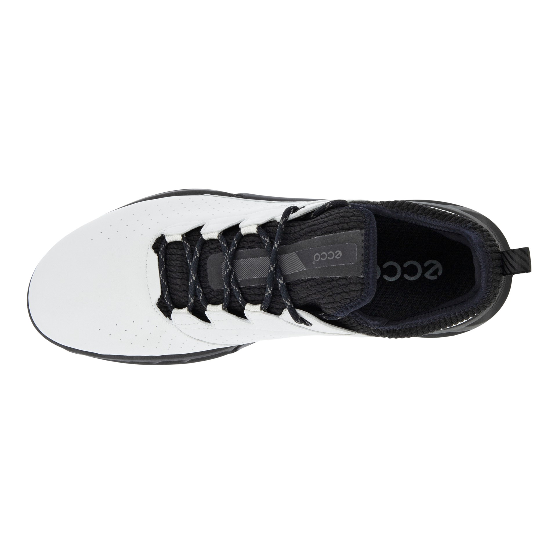 Ecco 130404-57719 | M Golf Biom C4 Laced Shoe | Concrete / Black