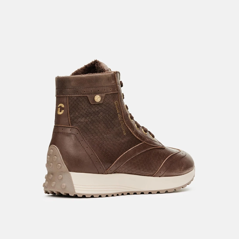 Duca del Cosma | 123505-118 | Olivia | Brown