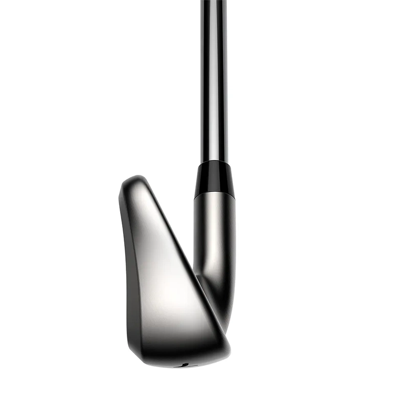 Cobra DS-Adapt | Grapite Iron Set Toe